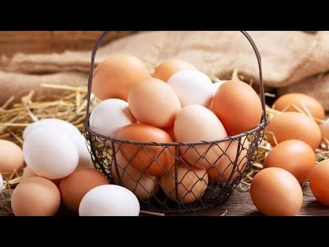 اسعار البيض اليوم
